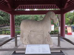 -茂陵博物馆