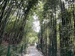 -四门塔风景区