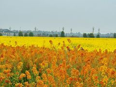 -中国天府农业博览园