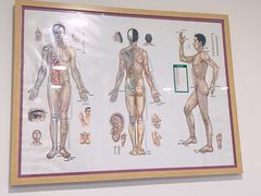 -杏林康桥中医正骨·体态矫正·跌打损伤·推拿按摩(国贸建外SOHO店)