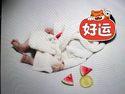 -西瓜庄园儿童摄影