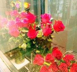 -DR钻戒(杭州星光大道店)