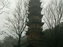 -上海佘山国家森林公园西佘山园