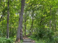 -镇江市南山风景名胜区竹林景区
