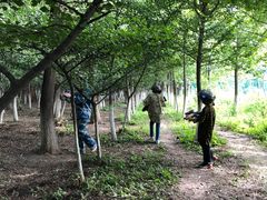 -亲兄弟真人CS团建拓展基地