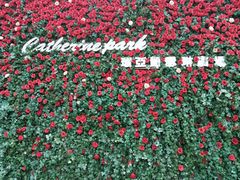 -UNI UNI(环亚凯瑟琳店)