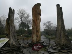 -金钉子远古世界景区