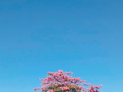 -海珠湖公园