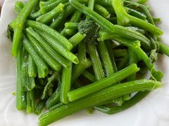 南瓜苗-老根农家饭店