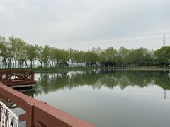 -金银湖国家城市湿地公园