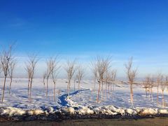 -丝绸之路山地度假区滑雪场