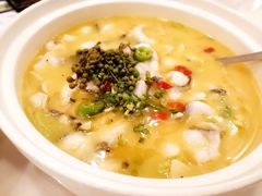 -蜀腾川·火锅鱼.烤鱼(新世界城店)