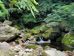 -龙峪湾国家森林公园