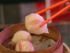 -憶廟街 X 沙角邨(太古城店)