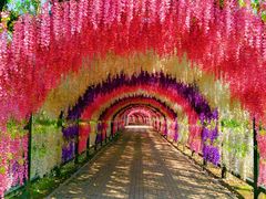 -沈阳鸟岛