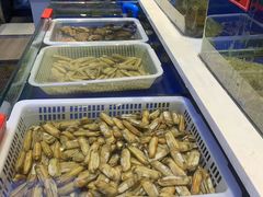 -蓬川食府(金海道店)