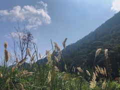 -广州市石门国家森林公园