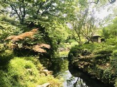 -上海醉白池公园