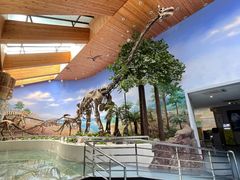 -延庆地质公园博物馆