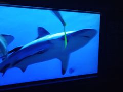 -同济大学四平路校区深海探索馆