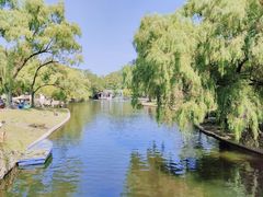 -上海共青森林公园