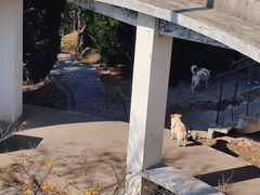 -贮水山儿童公园