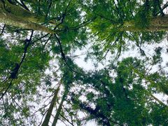 -井冈山风景名胜区