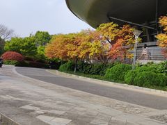 -杭州城北体育公园