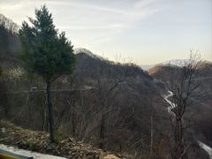 -洛阳白云山景区