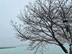 -苏州独墅湖世尊酒店