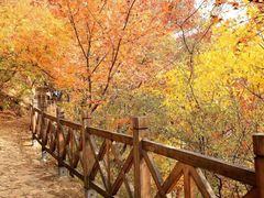 -寒同山神仙洞