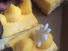 -Madeleine玛德琳(永平里店)