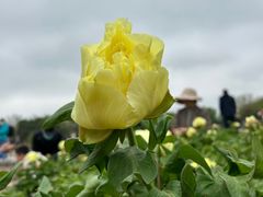 -比格比萨自助(新辰里学清路店)