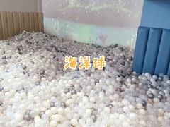 -KIDults童伴儿亲子餐厅(达美中心广场店)