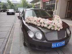 -蚂蚁婚车