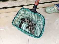 -鑫鸿达·海鲜闽菜热炒小馆(中山路店)