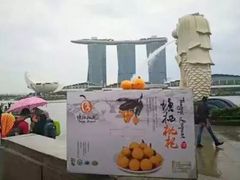 -塘栖枇杷特色园区