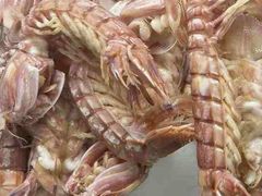 -宾朋海鲜特色美食餐厅·纯手工鲅鱼水饺(兴海路店)