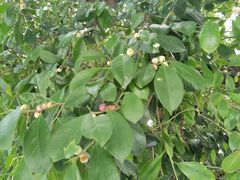 -云川台球(马甸店)