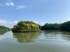 -大湾区中央湿地公园