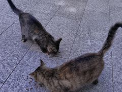 -四门塔风景区