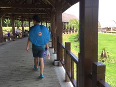 -碧海金沙