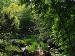 -望江楼公园