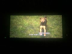 -博纳国际影城(南联IMAX店)