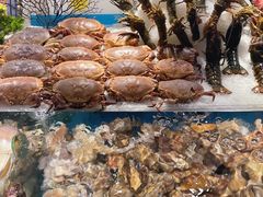 -亚马逊环球美食百汇(新城吾悦广场店)