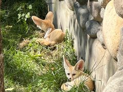 -北京野生动物园