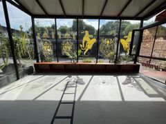 -TFC 纯泰拳馆MuayThai