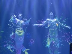 -华夏文旅海洋公园