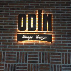 -ODIN 奥丁形象设计 