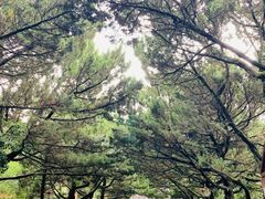 -南岳衡山风景名胜区-南岳大庙